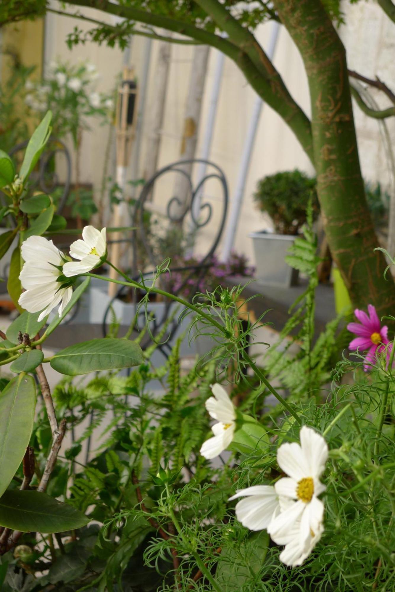 Cit'Hotel Des Messageries Saintes Exterior foto